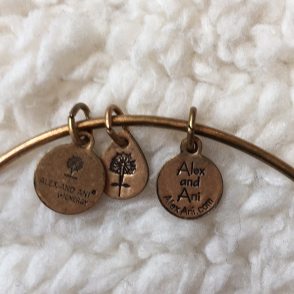 Alex and Ani Bracelet - Picture 3 of 3